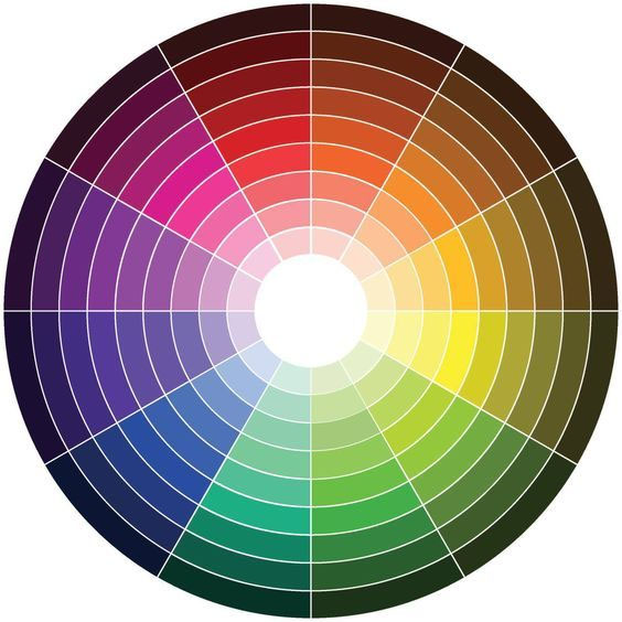 Цветовая палитра для интерьера круг